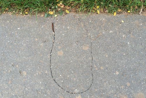 Bild - 2014-09-10 Schnecke Umkehr