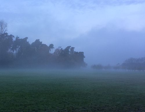 Bild - 2014-11-01 Abendnebel