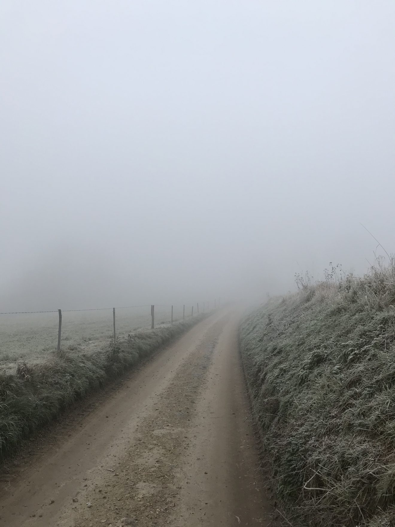 2019-12-05 Frostnebel