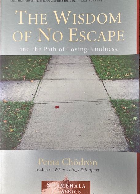 DL-Buch-the wisdom-of-no-escape-Pema-Ch&ouml;dr&ouml;n