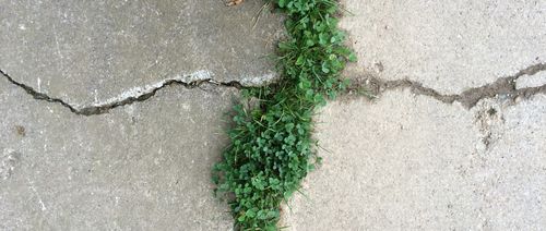 Risse und Erneuerung