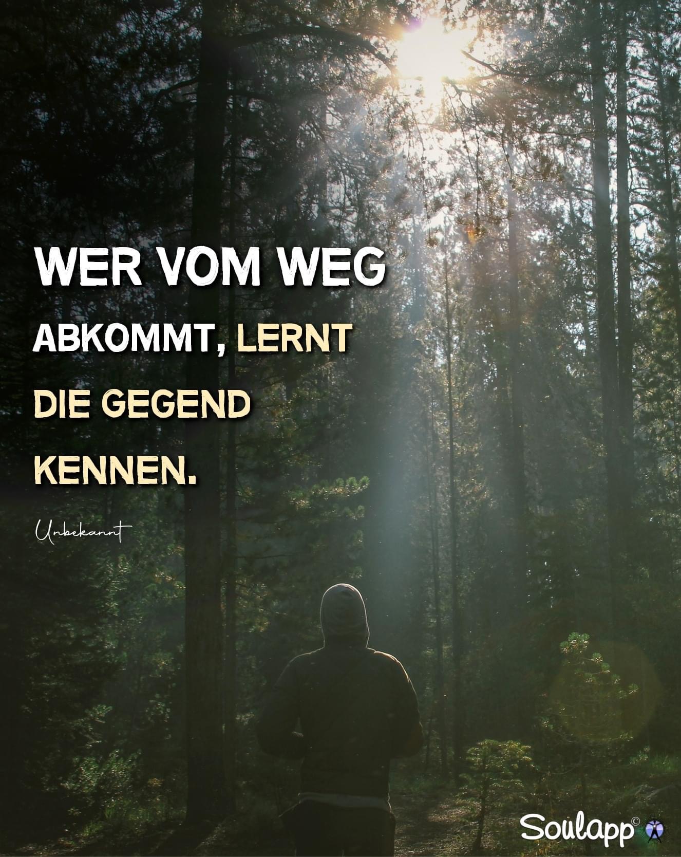 DL-Bild-Wer vom Weg abkommt