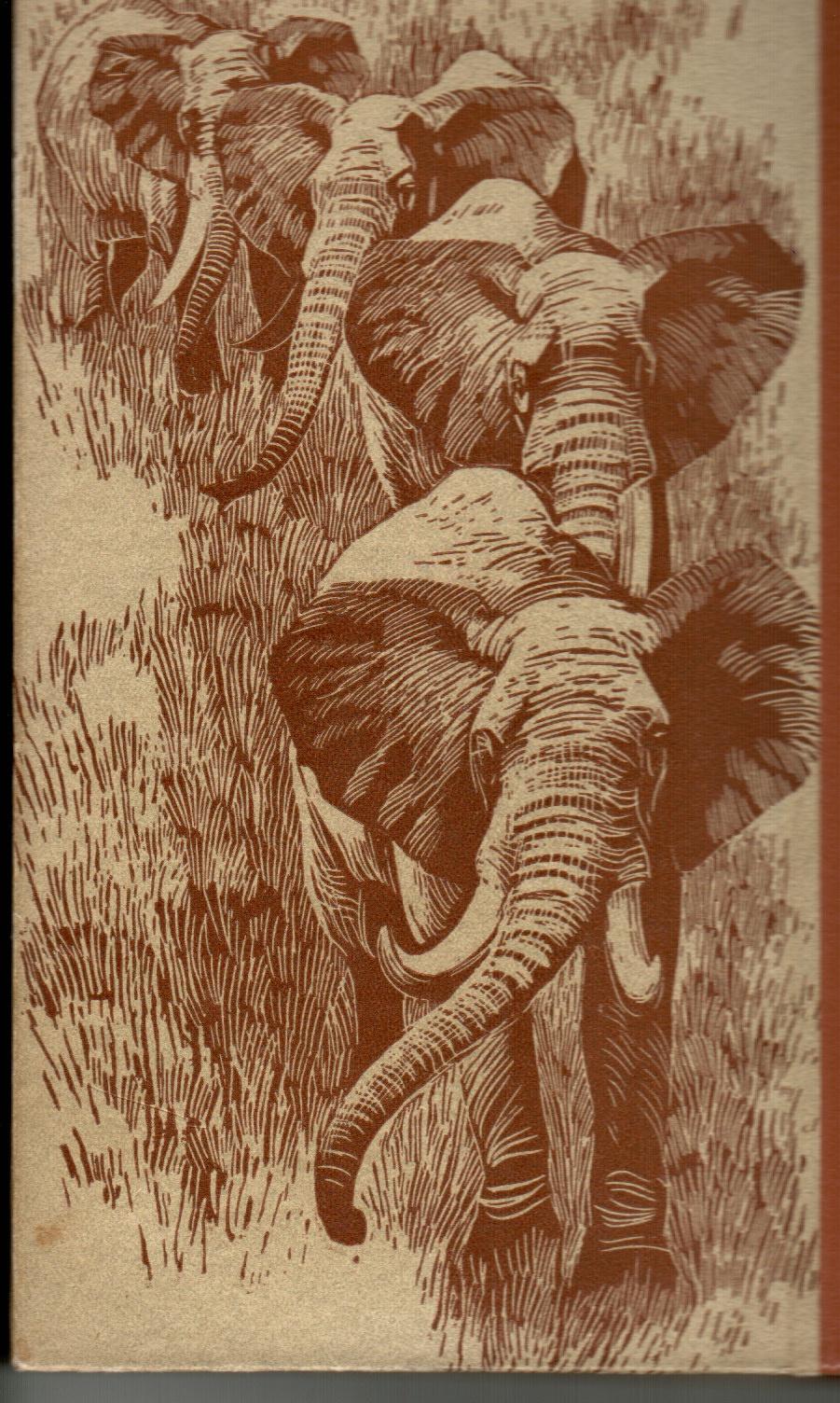 DL-Bild-Stra&szlig;e der Elefanten